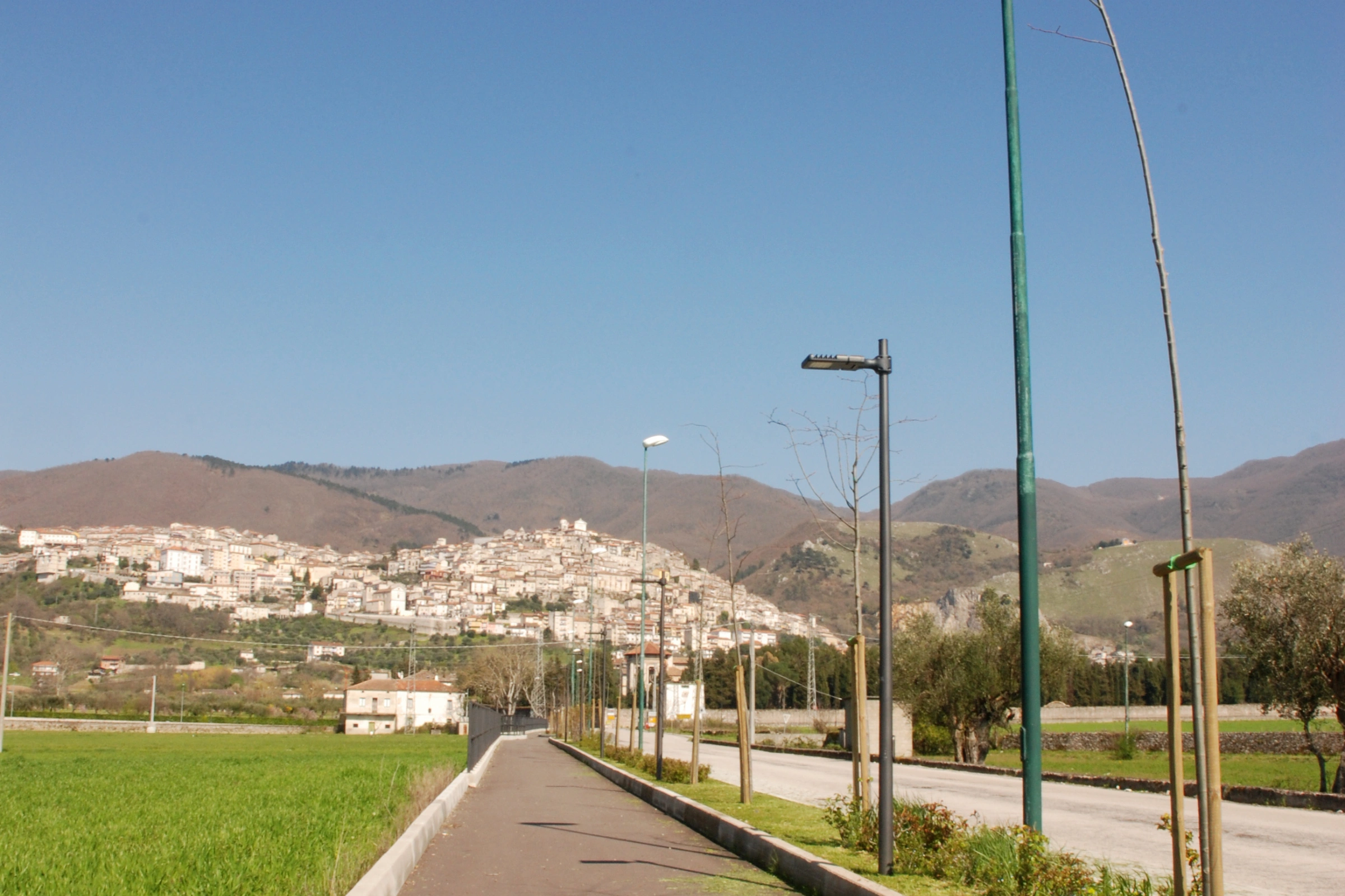 Padula[1] (1).webp
